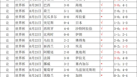 06年法国世界杯，大罗齐达内巅峰之作：足球史上的最高技术水平